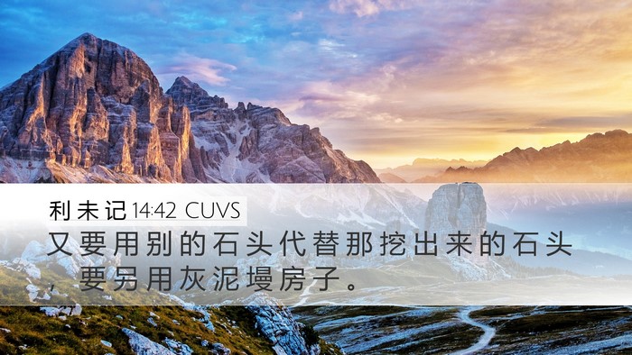 利 未 记 14:42 CUVS Desktop Wallpaper - 又 要 用 别 的 石 头 代 替 那 挖 出 - Desktop Bible Verse Wallpaper