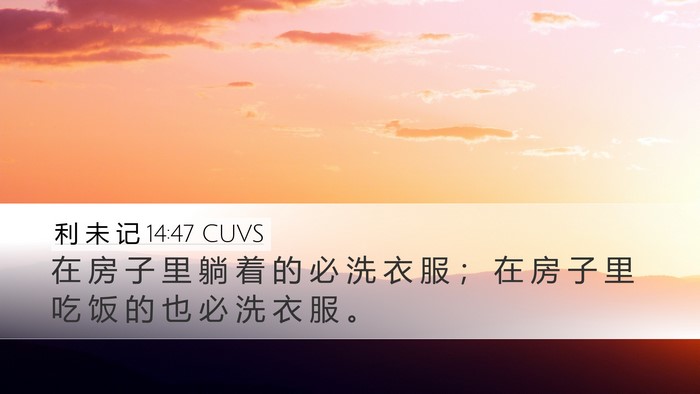 利 未 记 14:47 CUVS Desktop Wallpaper - 在 房 子 里 躺 着 的 必 洗 衣 服 ； - Desktop Bible Verse Wallpaper