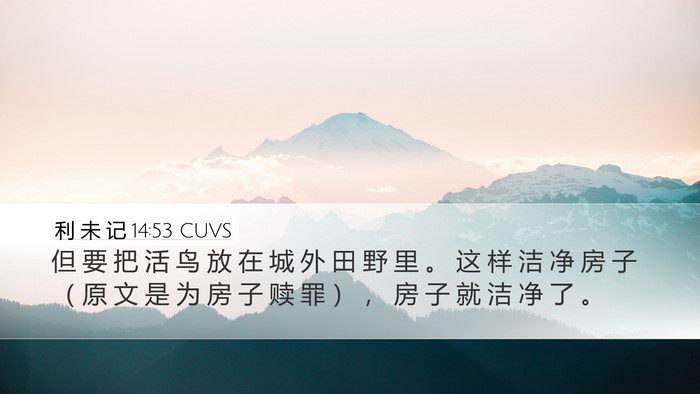 利 未 记 14:53 CUVS Desktop Wallpaper - 但 要 把 活 鸟 放 在 城 外 田 野 里 - Desktop Bible Verse Wallpaper