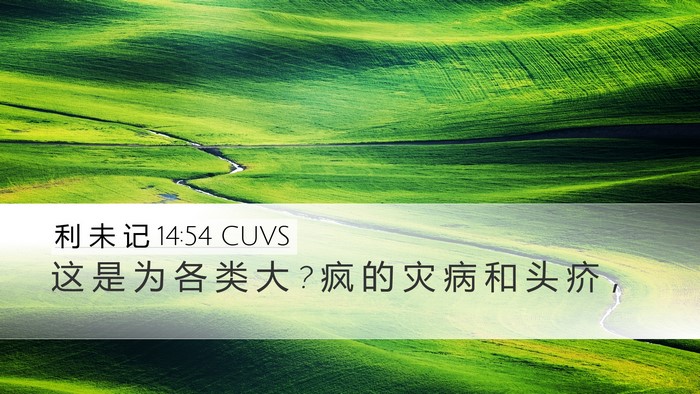 利 未 记 14:54 CUVS Bible Verse Image
