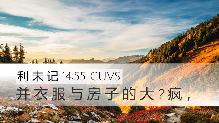 利 未 记 14:55 CUVS Desktop Wallpaper - 并 衣 服 与 房 子 的 大 ? 疯 - Desktop Bible Verse Wallpaper