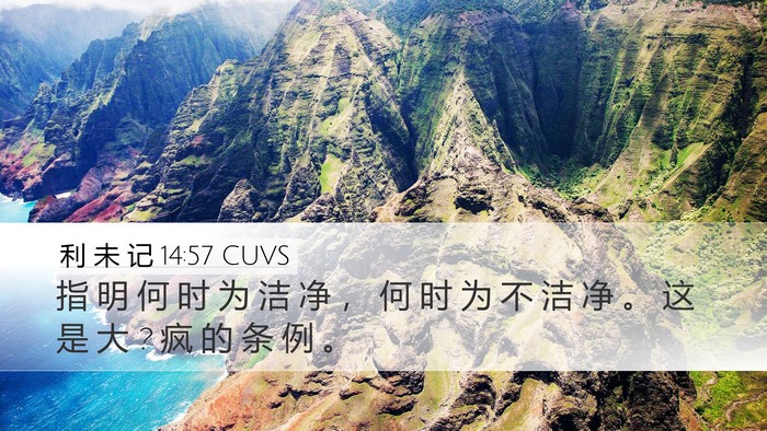 利 未 记 14:57 CUVS Desktop Wallpaper - 指 明 何 时 为 洁 净 ， 何 时 为 不 - Desktop Bible Verse Wallpaper