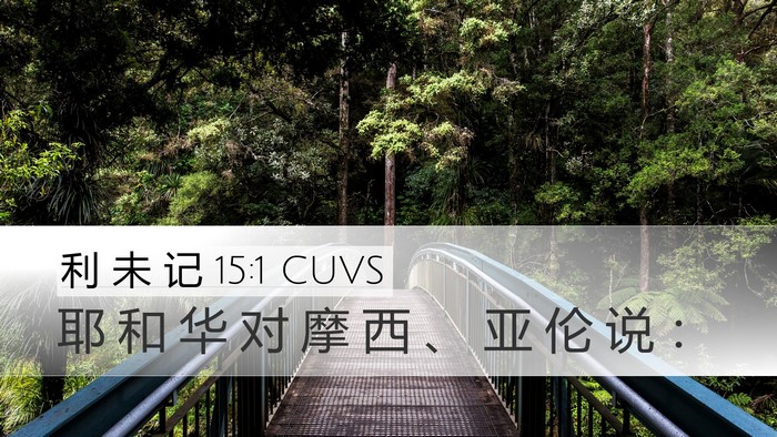 利 未 记 15:1 CUVS Bible Verse Image