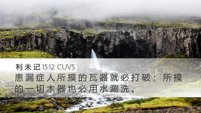 利 未 记 15:12 CUVS Bible Verse Image