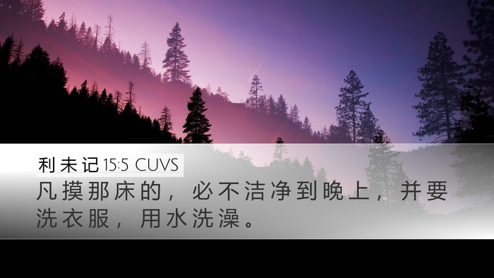利 未 记 15:5 CUVS Bible Verse Image