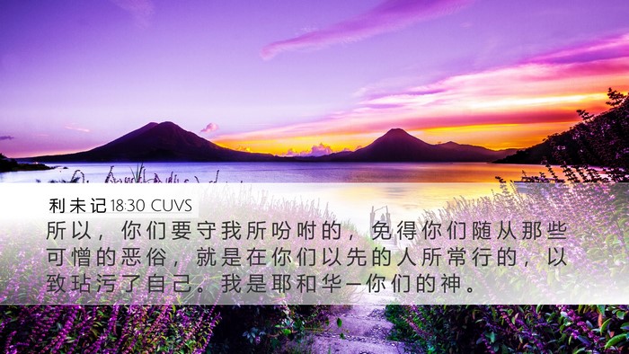 利 未 记 18:30 CUVS Bible Verse Image