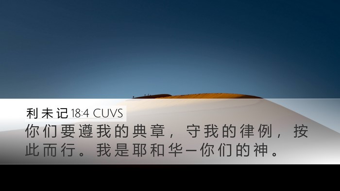 利 未 记 18:4 CUVS Bible Verse Image