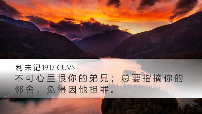 利 未 记 19:17 CUVS Bible Verse Image
