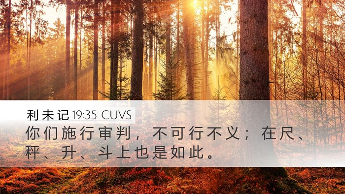 利 未 记 19:35 CUVS Bible Verse Image