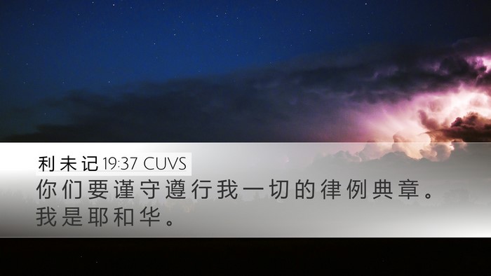 利 未 记 19:37 CUVS Bible Verse Image