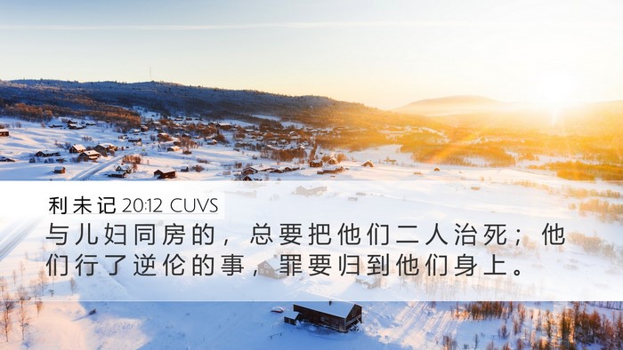利 未 记 20:12 CUVS Desktop Wallpaper - 与 儿 妇 同 房 的 ， 总 要 把 他 们 - Desktop Bible Verse Wallpaper