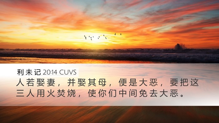 利 未 记 20:14 CUVS Bible Verse Image