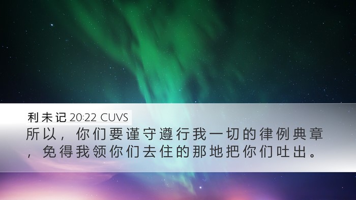 利 未 记 20:22 CUVS Bible Verse Image