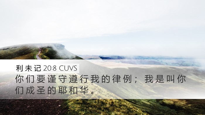 利 未 记 20:8 CUVS Bible Verse Image