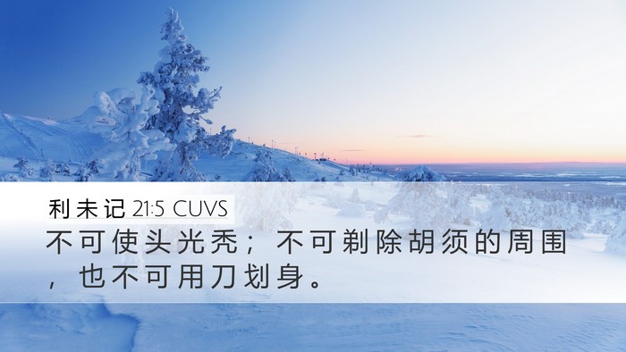 利 未 记 21:5 CUVS Bible Verse Image
