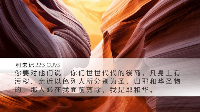 利 未 记 22:3 CUVS Bible Verse Image