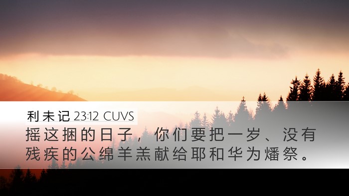 利 未 记 23:12 CUVS Bible Verse Image