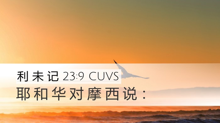 利 未 记 23:9 CUVS Desktop Wallpaper - 耶 和 华 对 摩 西 说 - Desktop Bible Verse Wallpaper