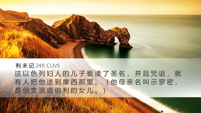 利 未 记 24:11 CUVS Bible Verse Image