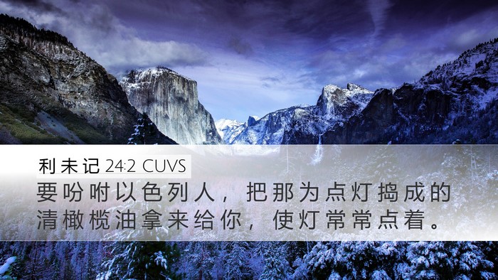 利 未 记 24:2 CUVS Bible Verse Image