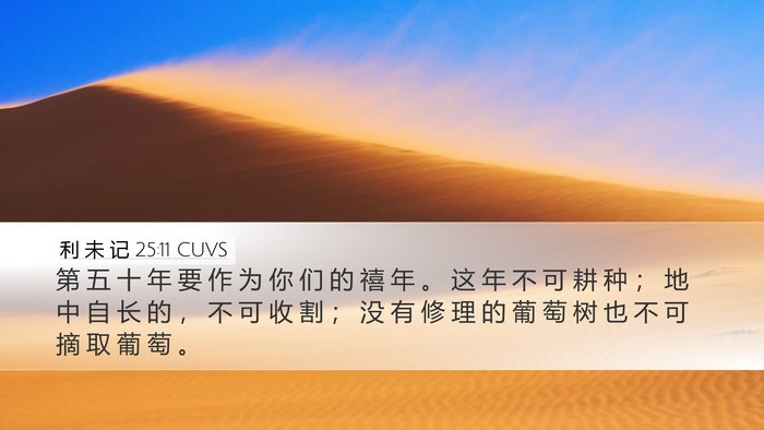 利 未 记 25:11 CUVS Desktop Wallpaper - 第 五 十 年 要 作 为 你 们 的 禧 年 - Desktop Bible Verse Wallpaper