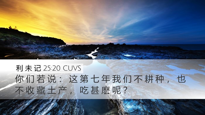利 未 记 25:20 CUVS Bible Verse Image
