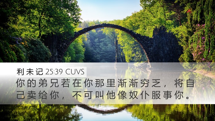 利 未 记 25:39 CUVS Bible Verse Image