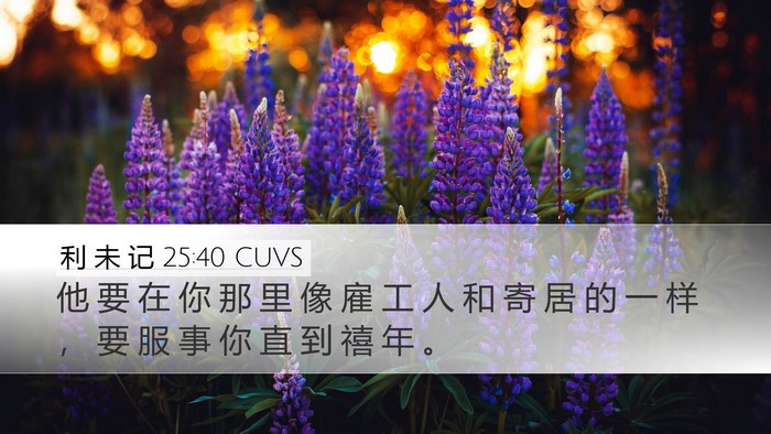 利 未 记 25:40 CUVS Desktop Wallpaper - 他 要 在 你 那 里 像 雇 工 人 和 寄 - Desktop Bible Verse Wallpaper