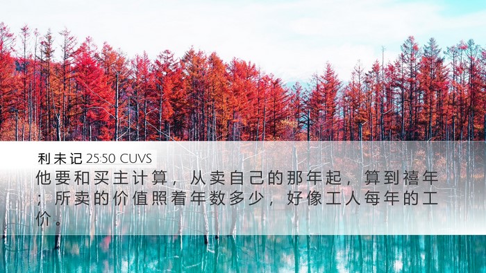利 未 记 25:50 CUVS Bible Verse Image