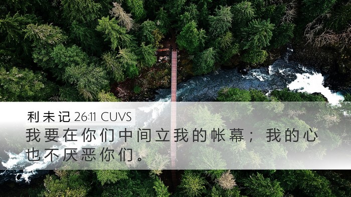 利 未 记 26:11 CUVS Bible Verse Image