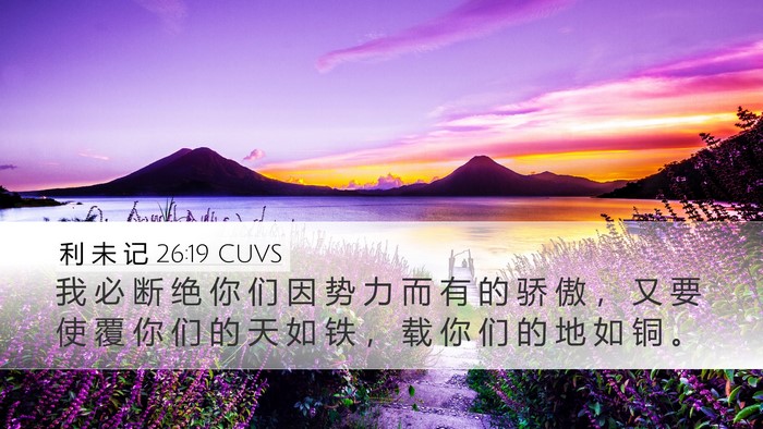 利 未 记 26:19 CUVS Bible Verse Image