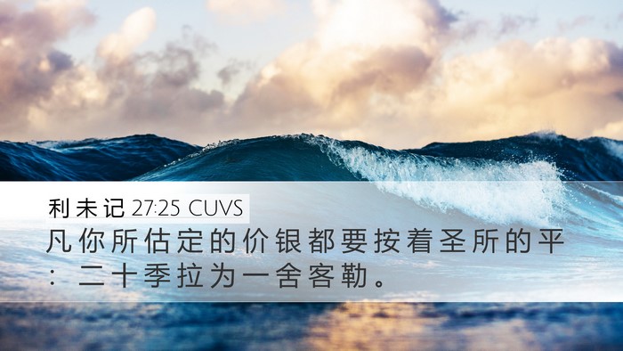 利 未 记 27:25 CUVS Bible Verse Image