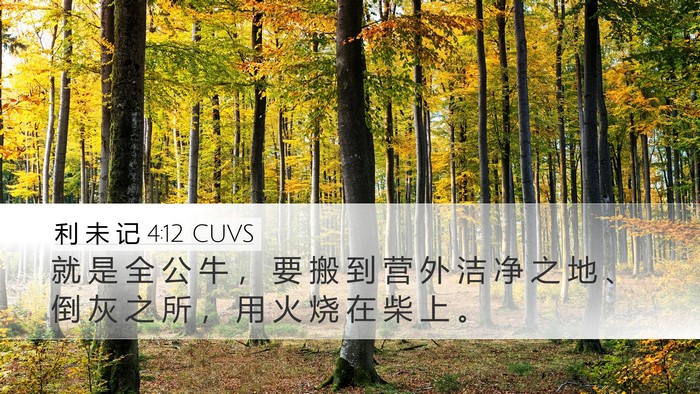 利 未 记 4:12 CUVS Desktop Wallpaper - 就 是 全 公 牛 ， 要 搬 到 营 外 洁 - Desktop Bible Verse Wallpaper
