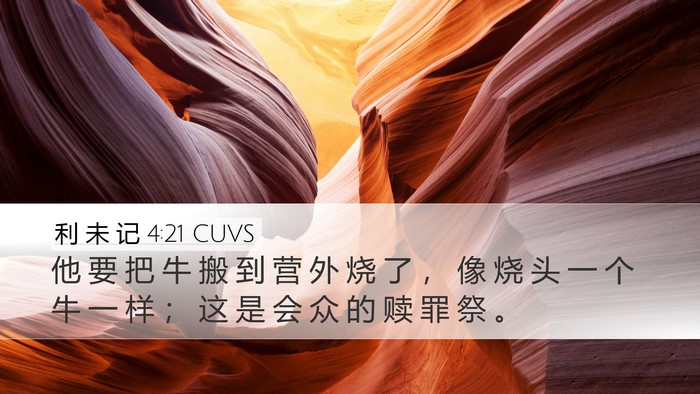 利 未 记 4:21 CUVS Bible Verse Image