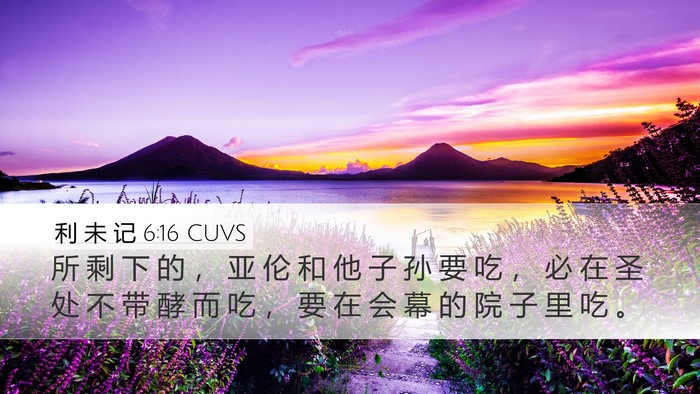 利 未 记 6:16 CUVS Bible Verse Image