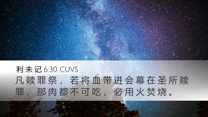 利 未 记 6:30 CUVS Bible Verse Image