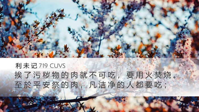 利 未 记 7:19 CUVS Bible Verse Image