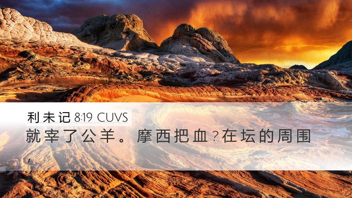 利 未 记 8:19 CUVS Desktop Wallpaper - 就 宰 了 公 羊 。 摩 西 把 血 ? 在 坛 - Desktop Bible Verse Wallpaper