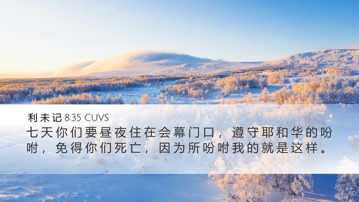 利 未 记 8:35 CUVS Bible Verse Image