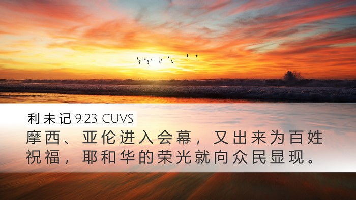 利 未 记 9:23 CUVS Bible Verse Image