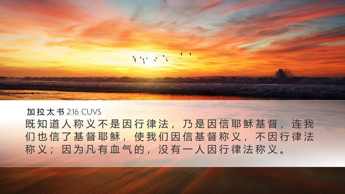 加 拉 太 书 2:16 CUVS Bible Verse Image
