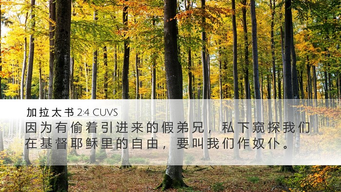 加 拉 太 书 2:4 CUVS Bible Verse Image