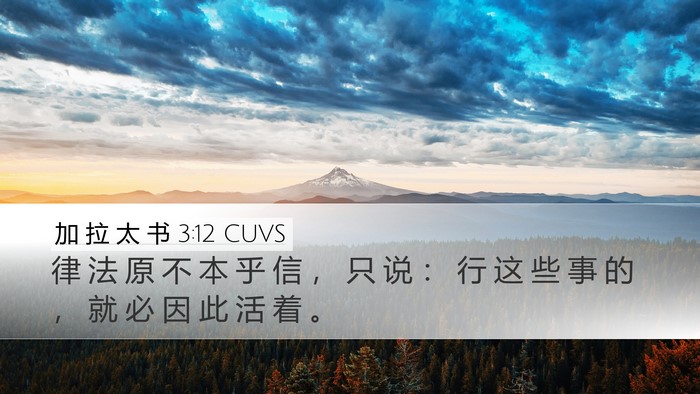 加 拉 太 书 3:12 CUVS Bible Verse Image
