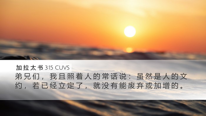 加 拉 太 书 3:15 CUVS Bible Verse Image