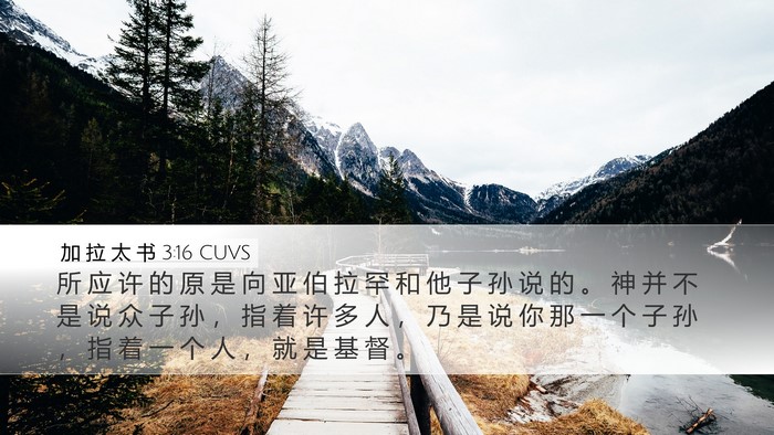 加 拉 太 书 3:16 CUVS Bible Verse Image