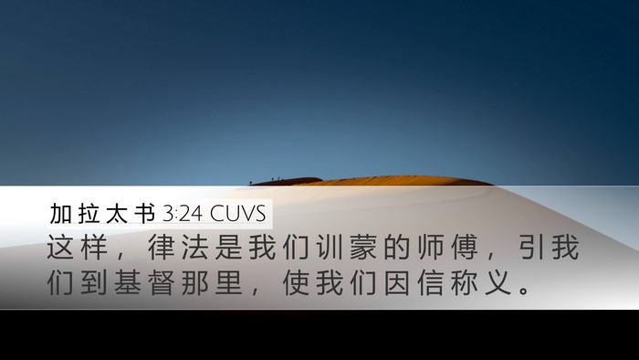 加 拉 太 书 3:24 CUVS Bible Verse Image