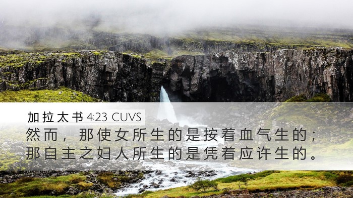 加 拉 太 书 4:23 CUVS Bible Verse Image