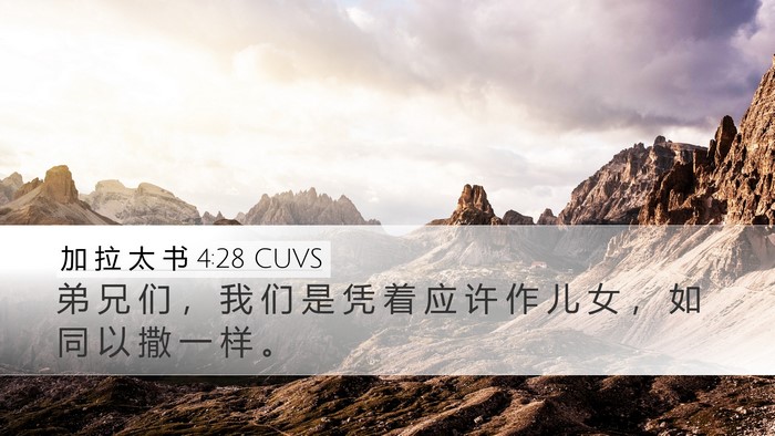 加 拉 太 书 4:28 CUVS Bible Verse Image