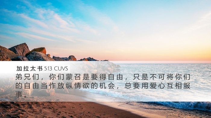 加 拉 太 书 5:13 CUVS Bible Verse Image