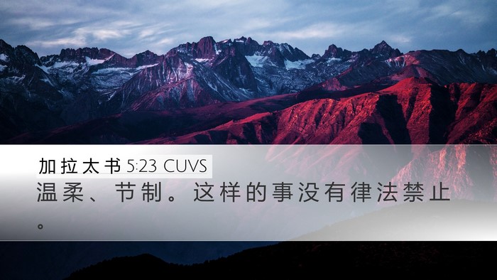 加 拉 太 书 5:23 CUVS Bible Verse Image